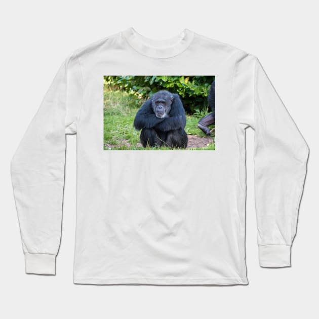 Chimpanzee Long Sleeve T-Shirt by Russell102